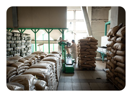 SOL UNION (Дніпро)